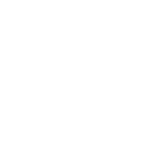 intamin